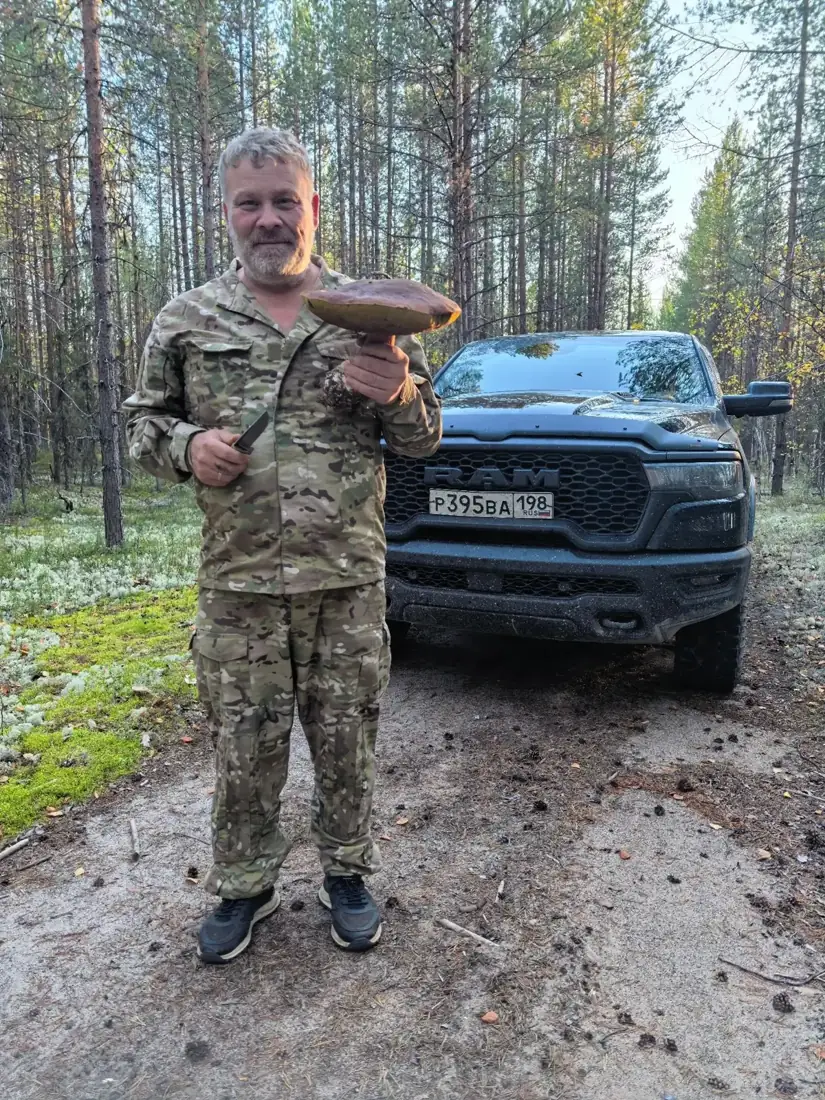 Медведь на Сахалине: угодья ОХОТЗВЕРОПРОМ